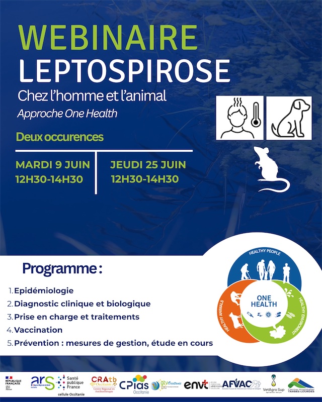 webinaire leptospirose 0626
