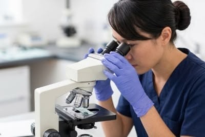 veterinaire qui observe au microscope