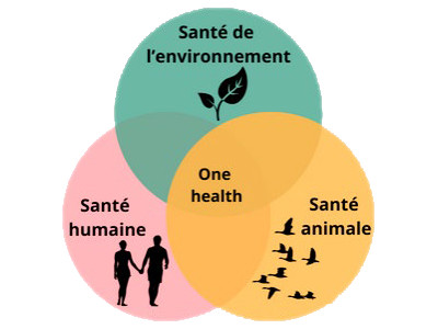 afvac ecoresponsabilite sante environnementale