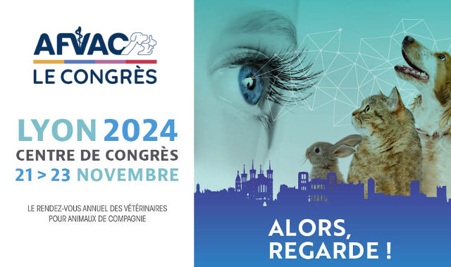 AFVAC Banniere congres 2024 640