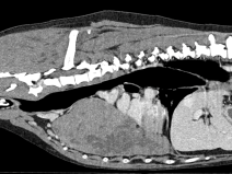 f94fefbee5491fdaae286c325edca780