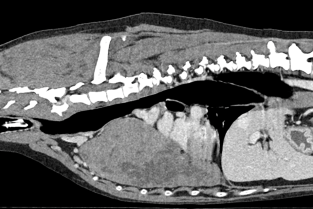 f94fefbee5491fdaae286c325edca780