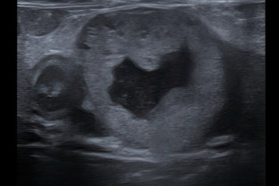 0a98c96f7e26a99ea60c015deab41cbc