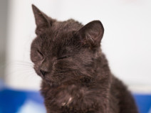 40e1d60497b620d4e29927a4c77e069e