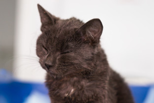 40e1d60497b620d4e29927a4c77e069e