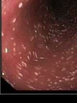 288530dfba863a5147ec35fd03509f21