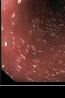 288530dfba863a5147ec35fd03509f21