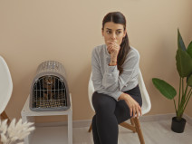 f036bef05da1d182854039169b9a89e9