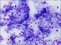 30d18b190797fd0741016e656dec0c4d