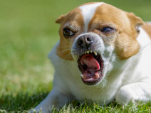 cb3908adbed51733879d5c599ce15fd9