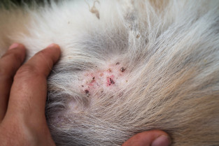 6717e6fd2d8fb1c6ff249beb4b14cefa