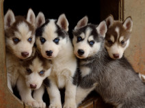 b548df3946b77f24fa9f8dfa672dbaed