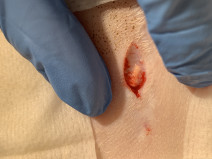 505e7c2908691febf95805944dceb1bc