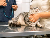 f38d643157d4a42baf7075f6f9f18350