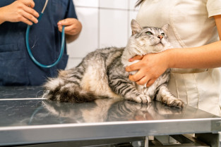 f38d643157d4a42baf7075f6f9f18350