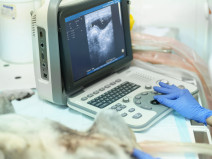 3c0367c8a84732df31be694648bcd8ae