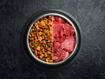 a268b656758cbe74aeb377393b663203