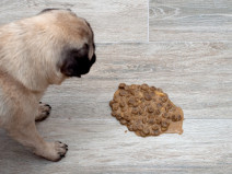 b030376f80918bd535e1e6ef0b90e911