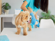 3c988f67d58aab37b6f8c0e3eff38f3b