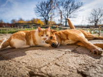 b5da6048e755c4d4280499849679af4f