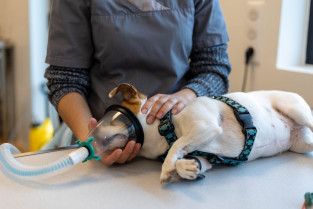 2b87420d6451537195fcf3cc6794fb05