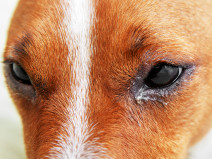 f4efd48bc986471c72336ce0e0f76943