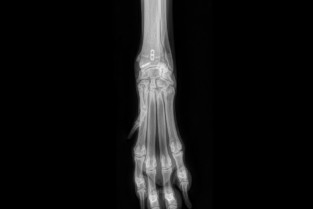 0b866a1be3eb77d129adfba085c99e5f