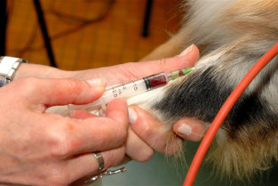 36914a9e5cbf86749c20732271715d24