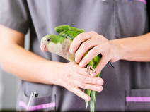 7a82cd13c09cd35b5cc2385cd94e004d