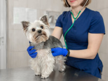 274430fa1ff1bb6c995c596a044641c0