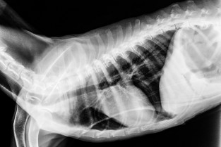 e53d866a2482e3e3ee96317a8170fc7d