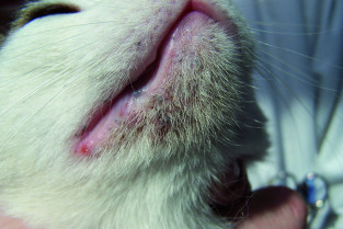 5101044a7da7464a651c0b0faff9cde1