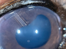 4beca5cbd9c766edfa72b4659bc43d0e