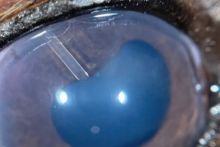 4beca5cbd9c766edfa72b4659bc43d0e