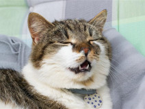 f66c0acb2b9de86278696a0a10bfd9b2