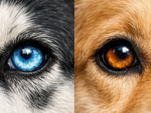 c61a5791d141d90418dd0b002bedb1cf