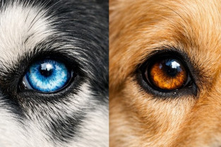 fa4889041012e272f58c65373126e6c5