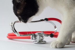 e259b7d24611047a27d3f37d6c9e38f4