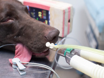 d38d008b39ee722845b457395caa06f9