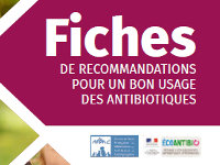 fiches-antibiotherapie-2022