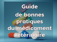 guide-bonnes-pratiques